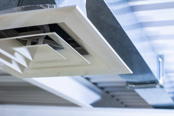 Best Professional Duct Cleaning Services  in Palos Heights, IL